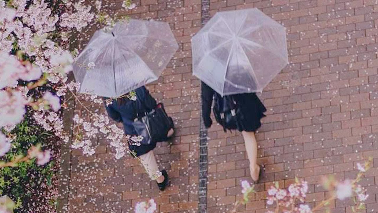 𝐏𝐥𝐚𝐲𝐥𝐢𝐬𝐭 봄 기억조작 28분｜JPOP