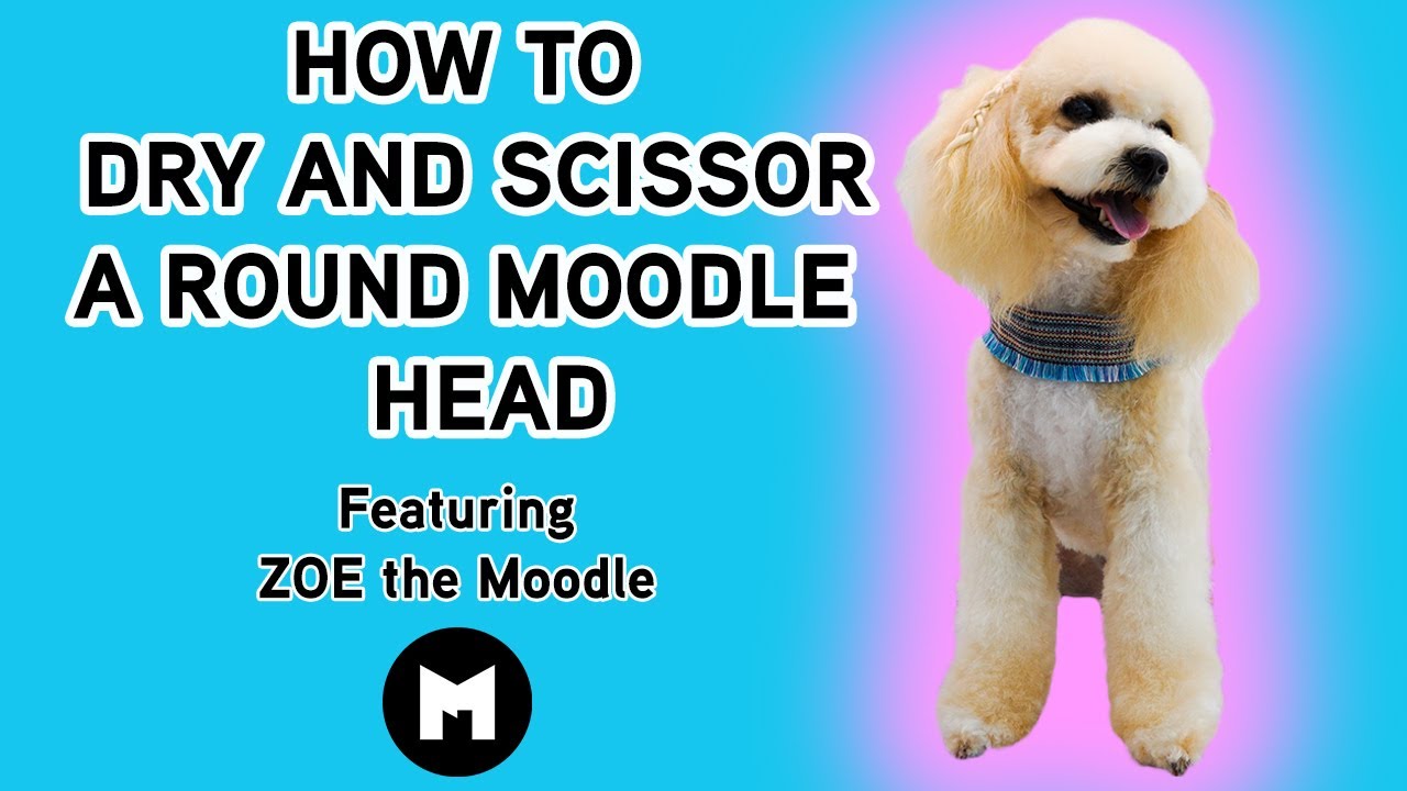 How to dry and scissor a round Moodle head