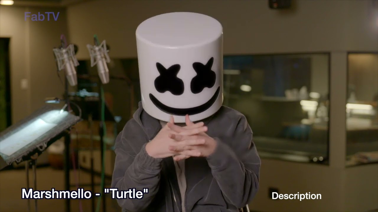 “Marshmello Becomes a Smurf Turtle?! 🐢💙 The Voice That Surprised Everyone!”