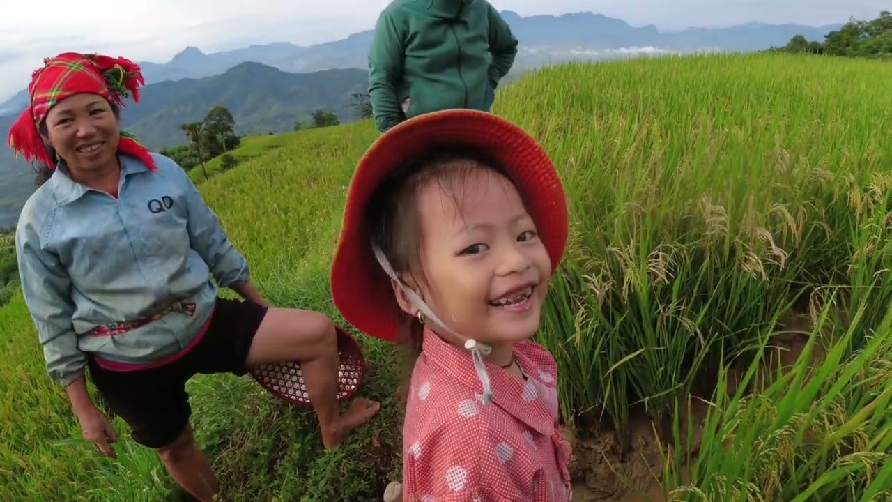 Đạc sản vùng cao cá chép ruộng 