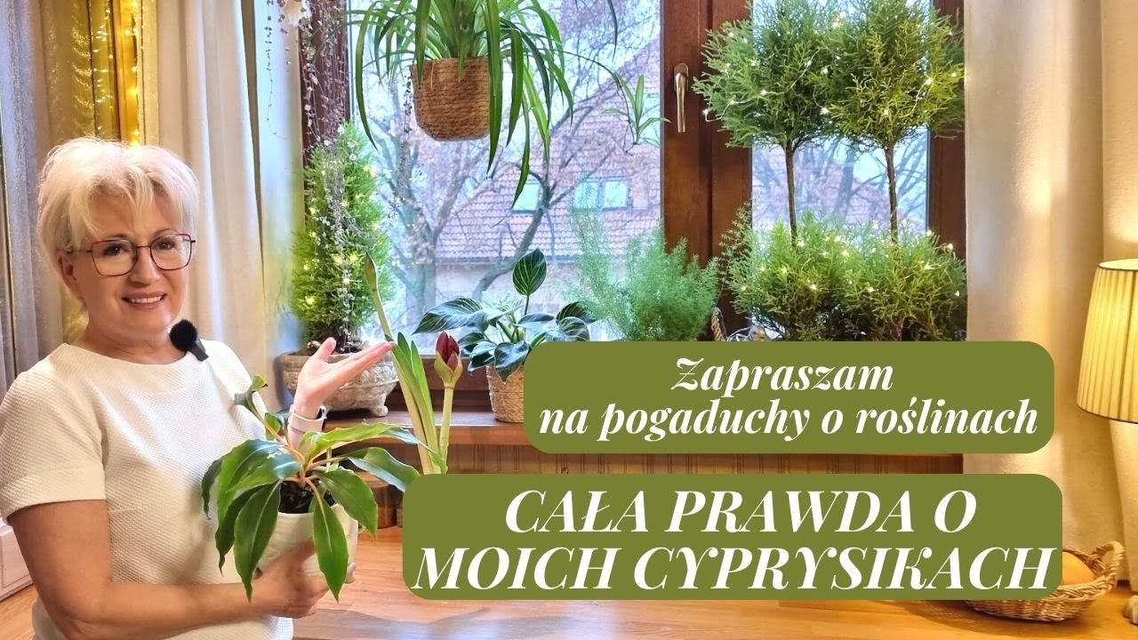 CO POWINNAM, A CZEGO NIE ZROBIŁAM Z MOIMI CYPRYSIKAMI// [373] //