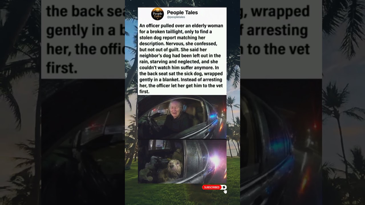 An officer pulled over an elderly woman for a broken taillight.