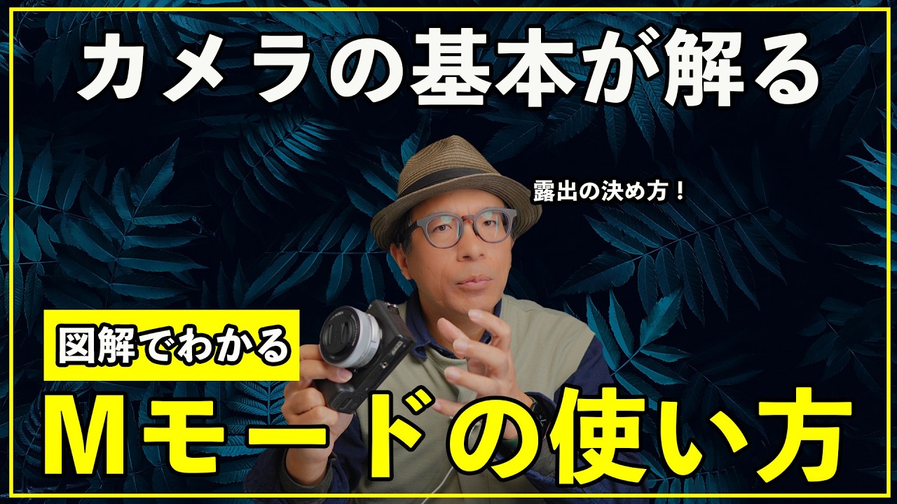 【カメラの基本】オートからマニュアルへ！初心者でもわかる設定のコツ