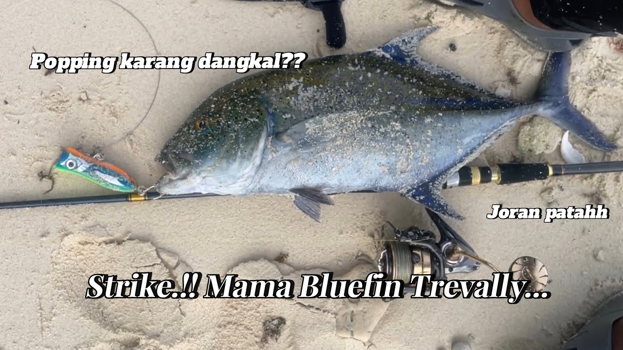 Landbased Light Popping Spot Karang Dangkal