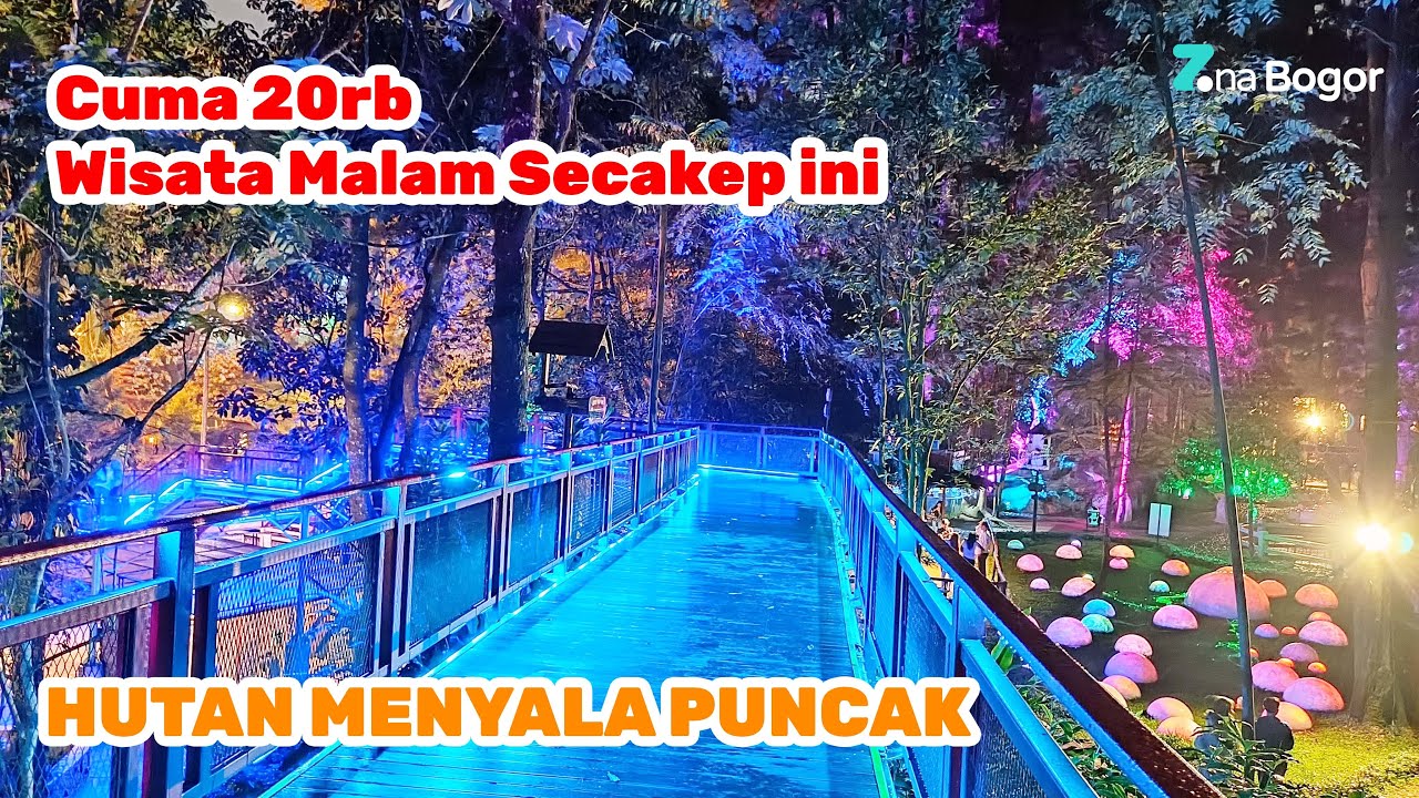 Hutan Menyala Dairyland Riverside, Wisata Malam Yang Lagi Viral di Puncak