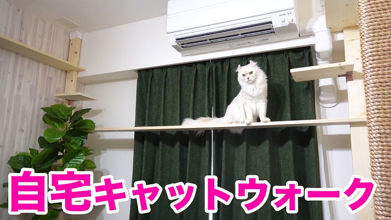 自作キャットウォークの全貌をお見せします。