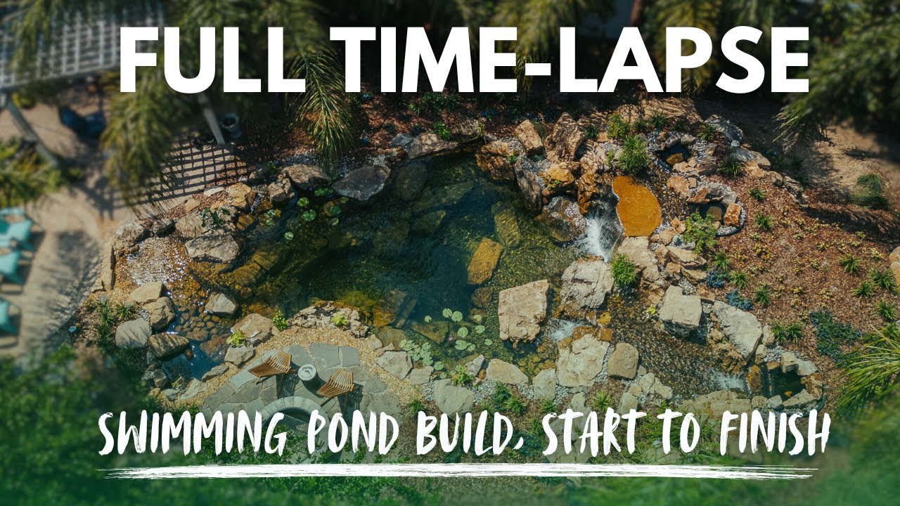 Watch This Epic Swim Pond Build Unfold in Minutes! | Satisfying Time-Lapse Transformation