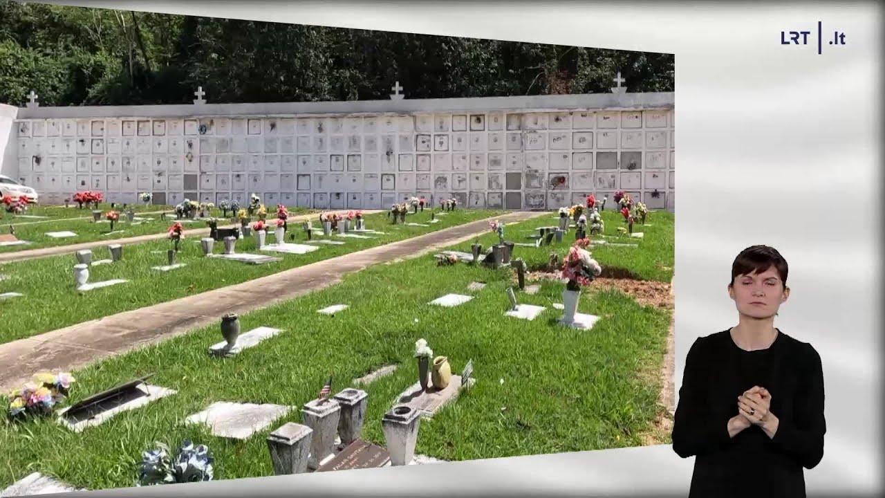 1000 pasaulio stebuklų. Įstabaus grožio uolos Puerto Rike, retų vėžlių „medžioklė“ bei netikėtas sus