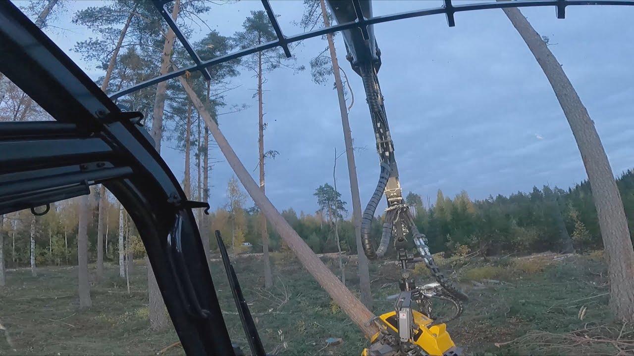 Ensimmäinen hakkuu video uudella koneella mänty avohakkuuta. Ponsse Scorpion K H7 AC FC