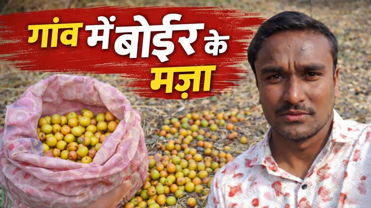 गांव में बोईर के मज़ा 😋😋 ।। Village vlog ll cg vlog