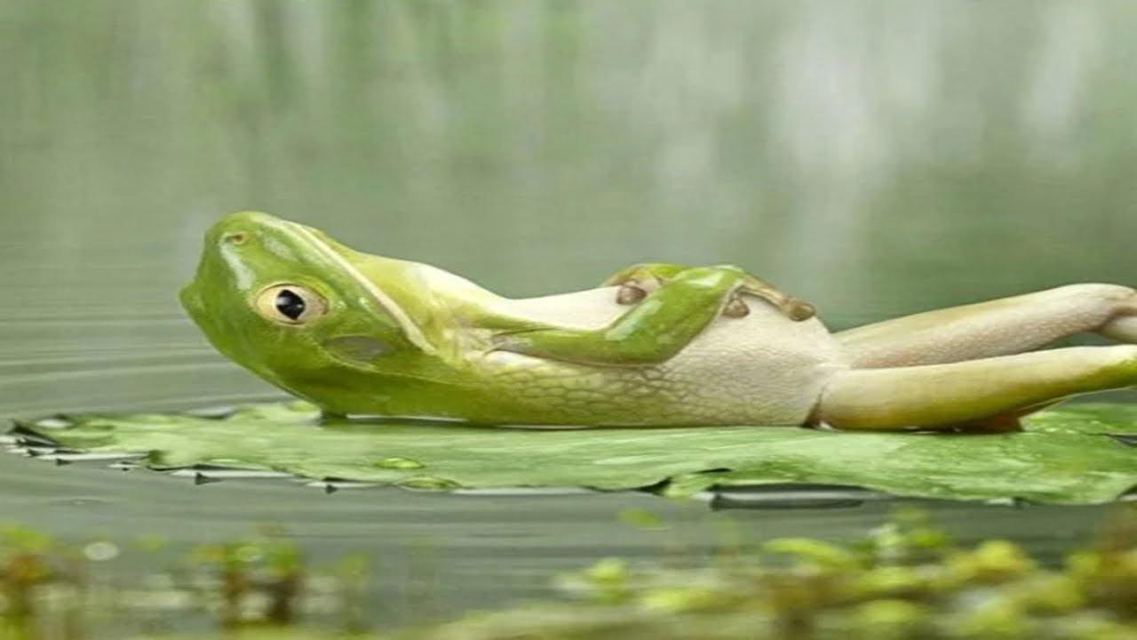 'Chilling' - Part 1