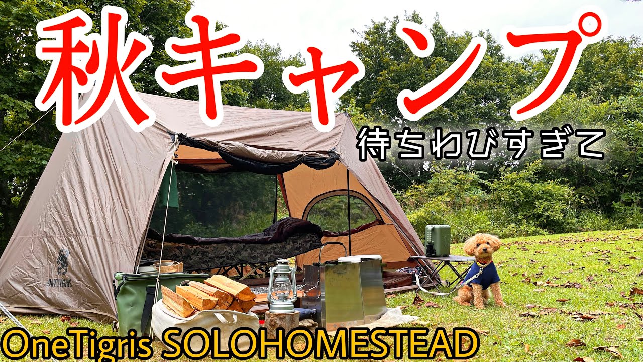 【キャンプ女】焚火と驚愕の食欲酒欲/１話完結動画/OneTigris SOLO HOMESTEAD/ワンティグリスソロホームステッド
