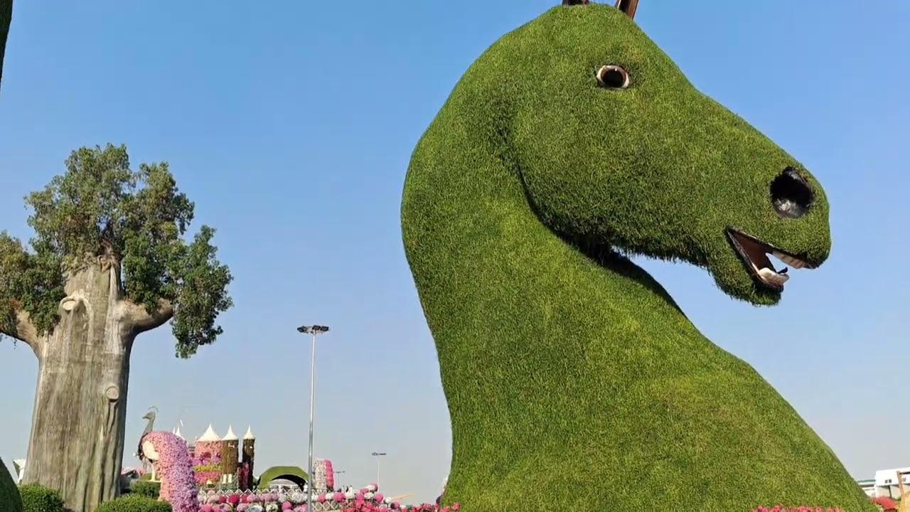 പൂക്കളുടെ വർണ്ണ വിസ്മയം # miracle garden# dubai# travel