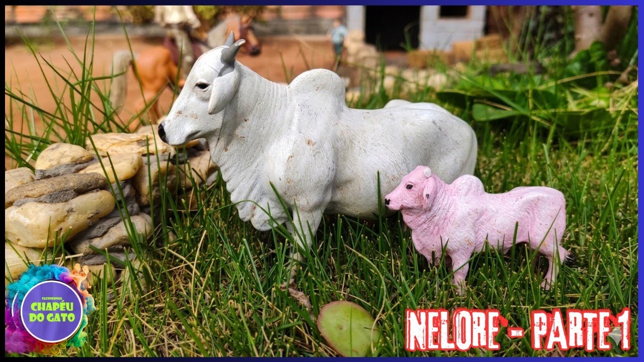 A Vaca Nelore deu Cria e o Bezerro Caiu do Cerro