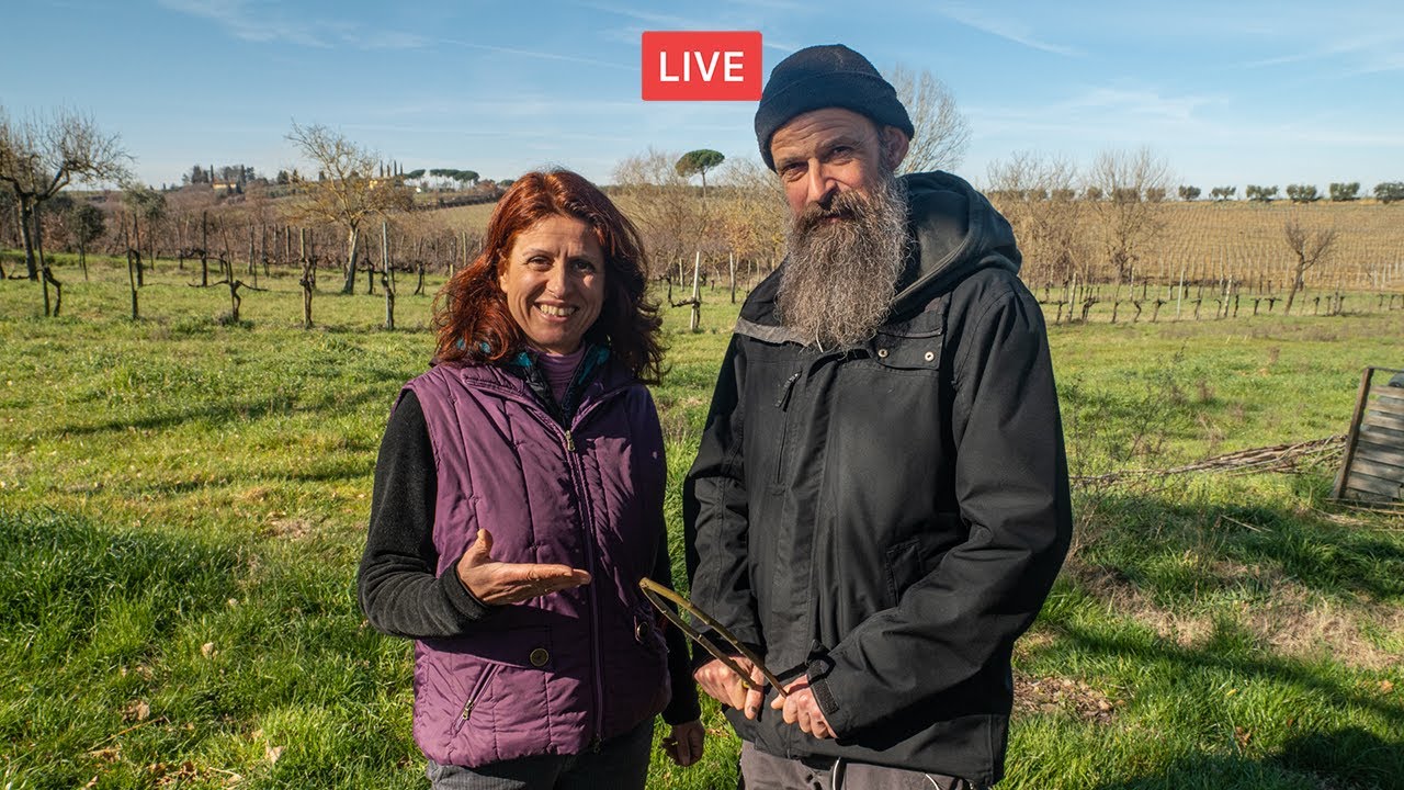 L'ACQUA È VITA: rabdomanzia e altri consigli. Con LORENZO COSTA 🔴