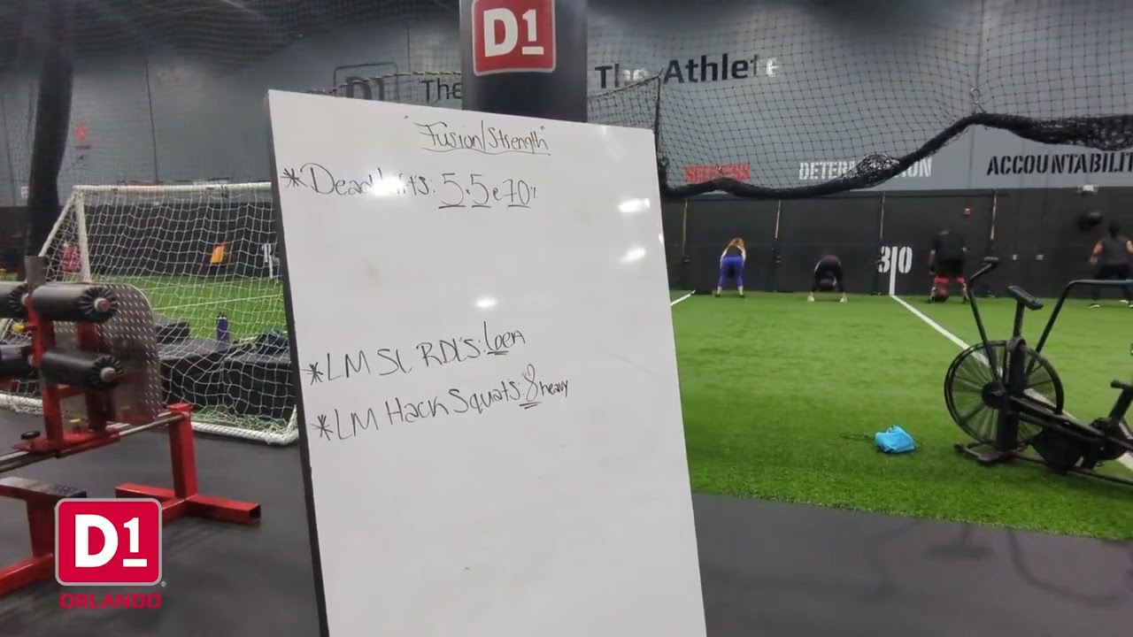 D1 Training Orlando Prices