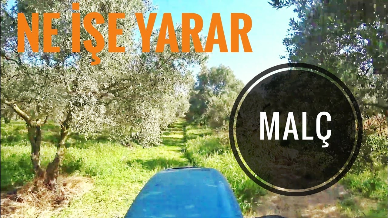 MALÇLAMA NE İŞE YARAR ?