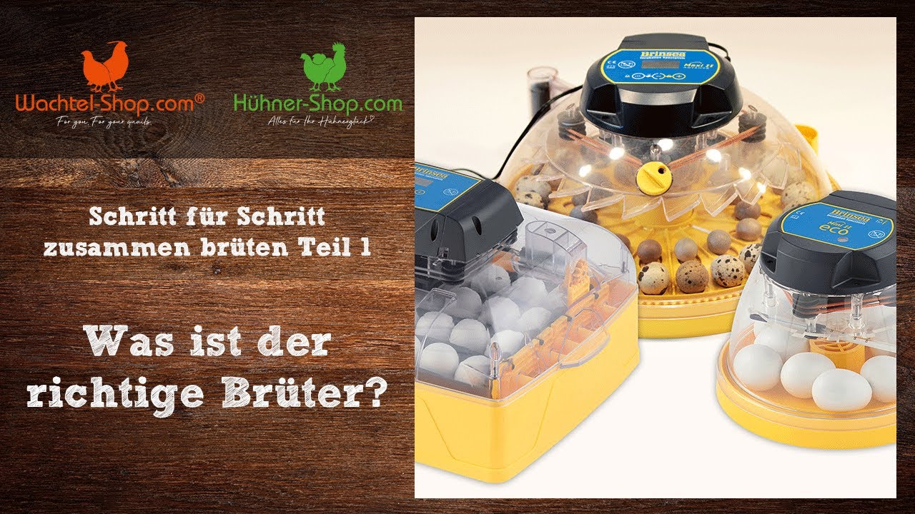 Welcher Brüter passt zu mir? Schritt für Schritt zusammen brüten Teil 1 | Wachtel-Shop.com