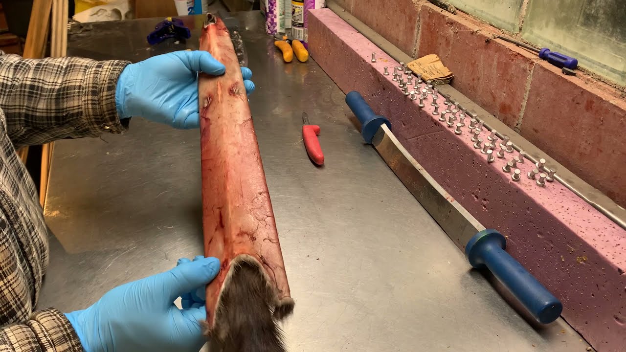 Fur Handling Series: Mink Part 4 - Removal from Stretcher and Storage.