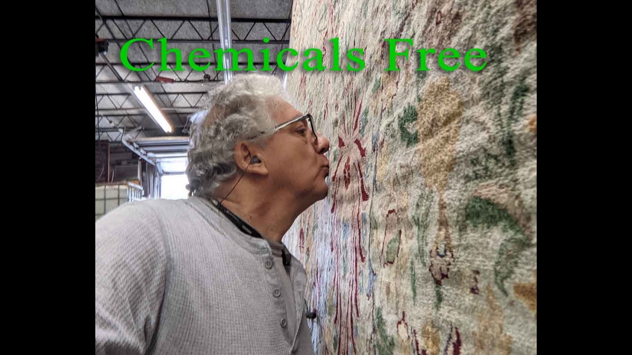 Remove the Urine from Wool Carpet Chemicals Free