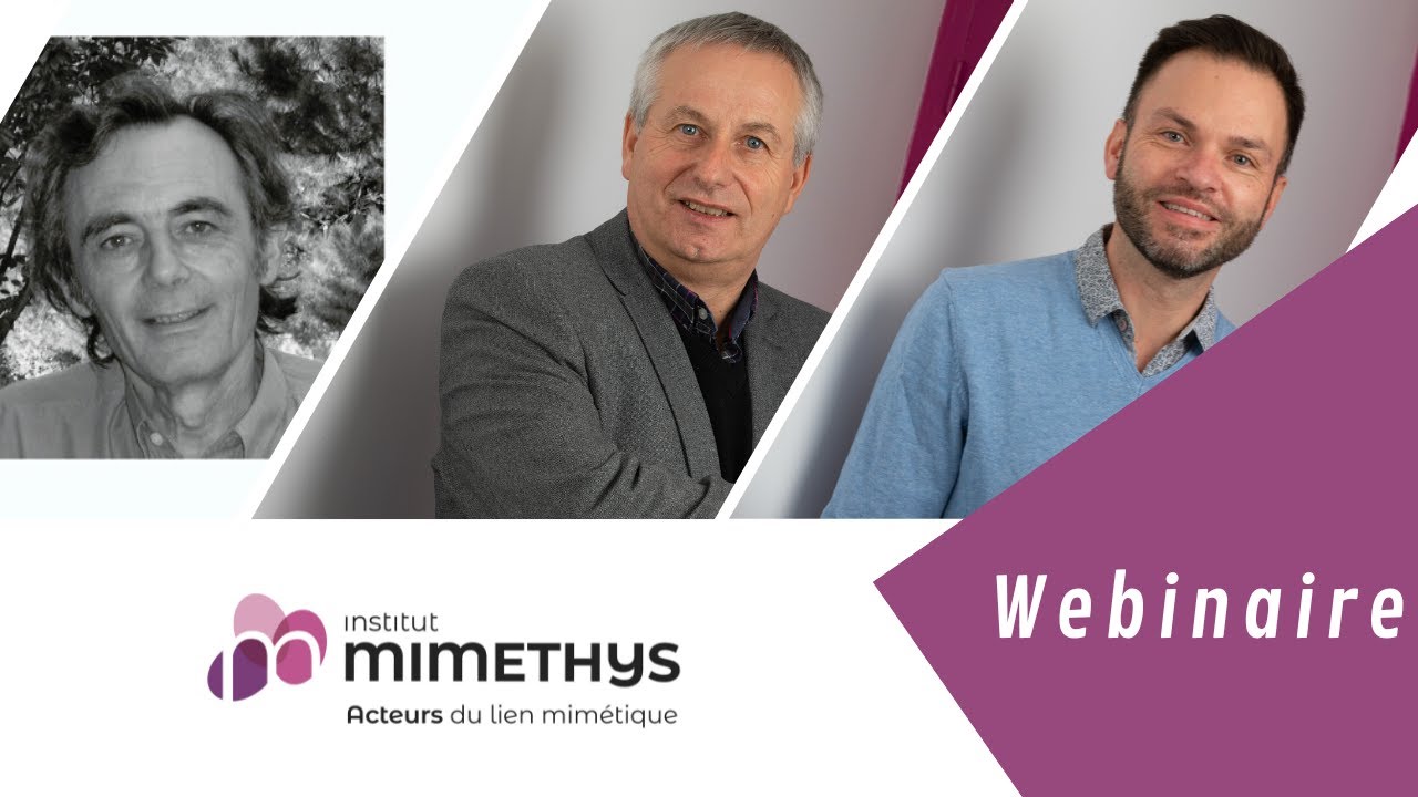 WEBINAIRE : Se décentrer du discours dominant pour qu’émerge une pensée singulière