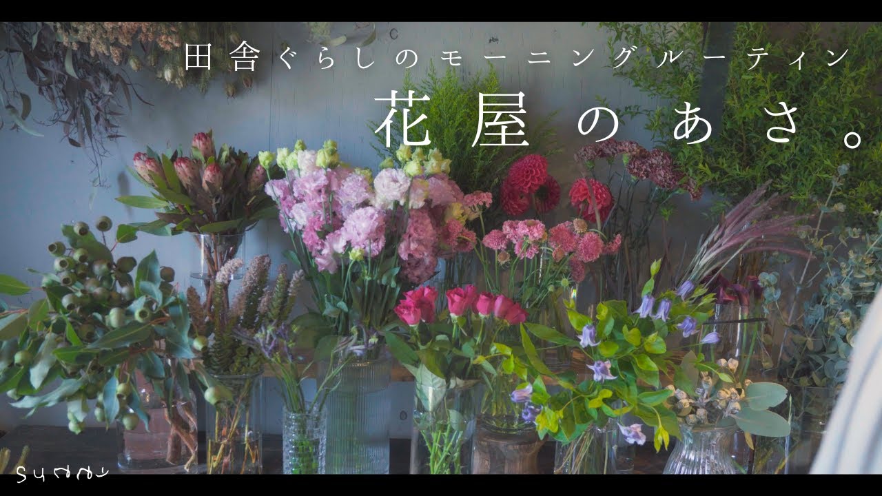【florist morning routine】小さな花屋のモーニングルーティン/山を越えて仕入れ/猫のお世話