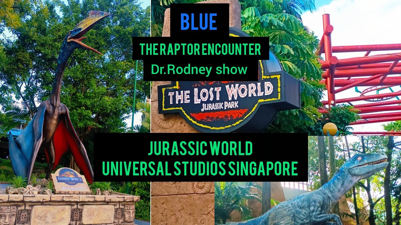 Dinosaur Video | real dinosaur | jurassic world in real life 🦖 universal studios #dinosaur #youtube