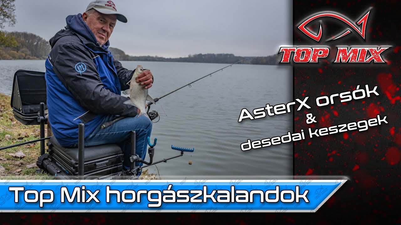 AsterX orsók & desedai keszegek