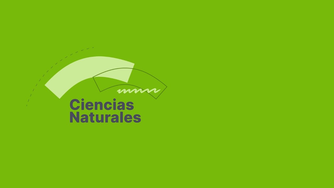 Diseño Curricular Educación Primaria: Ciencias Naturales