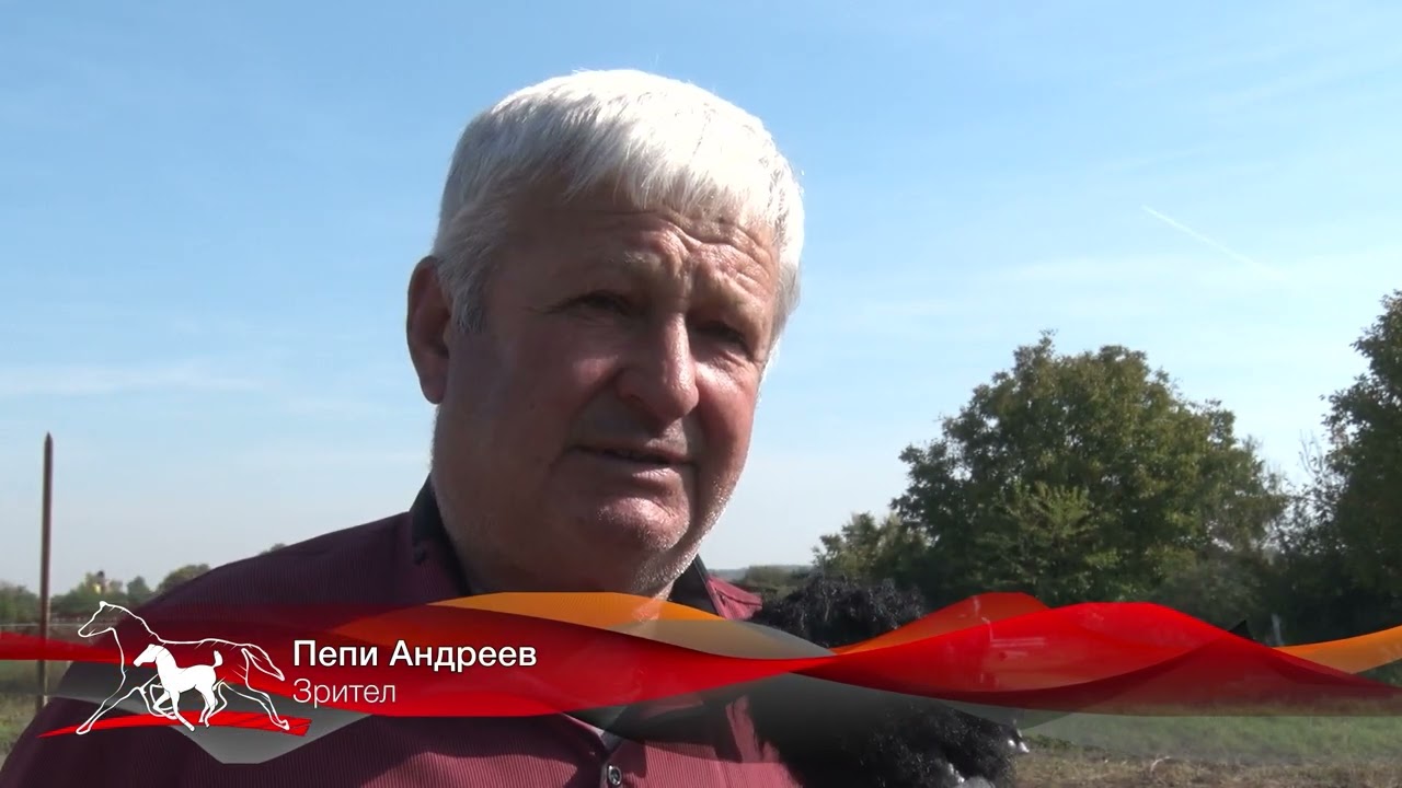 Конете на България: Лудо галопиране - от Шабла до Америка