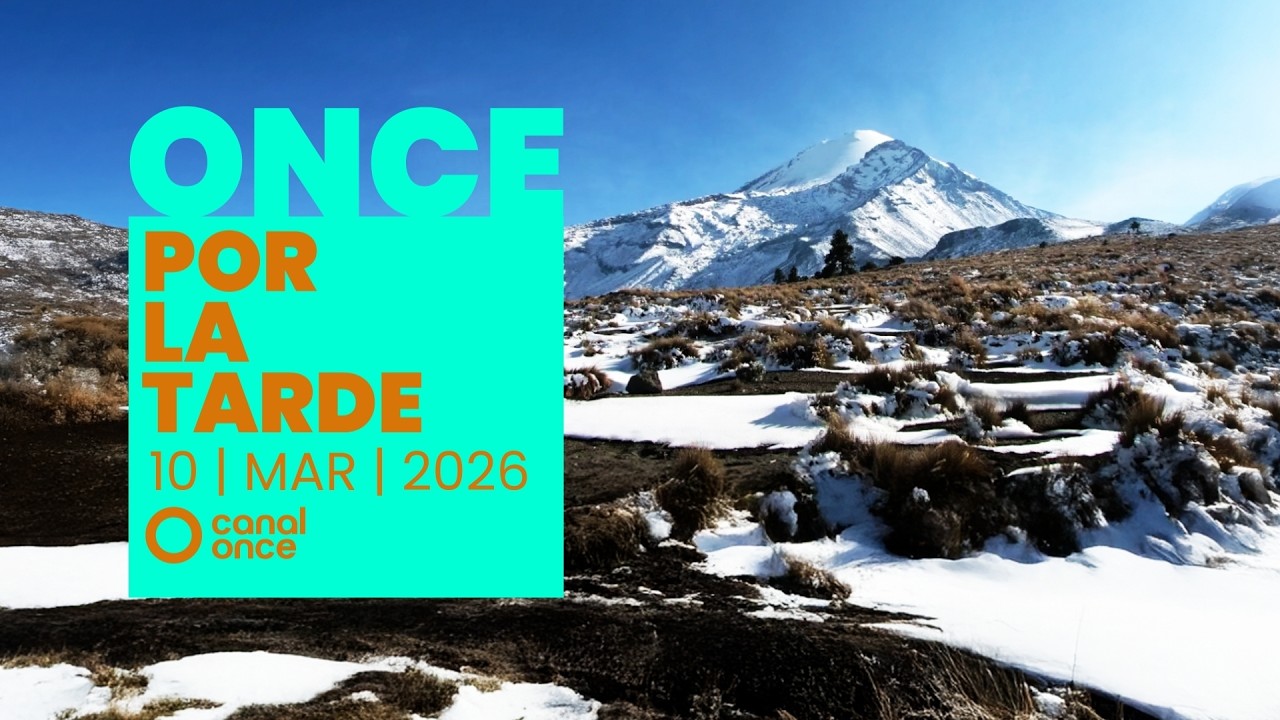Once por la tarde (10/03/2026)