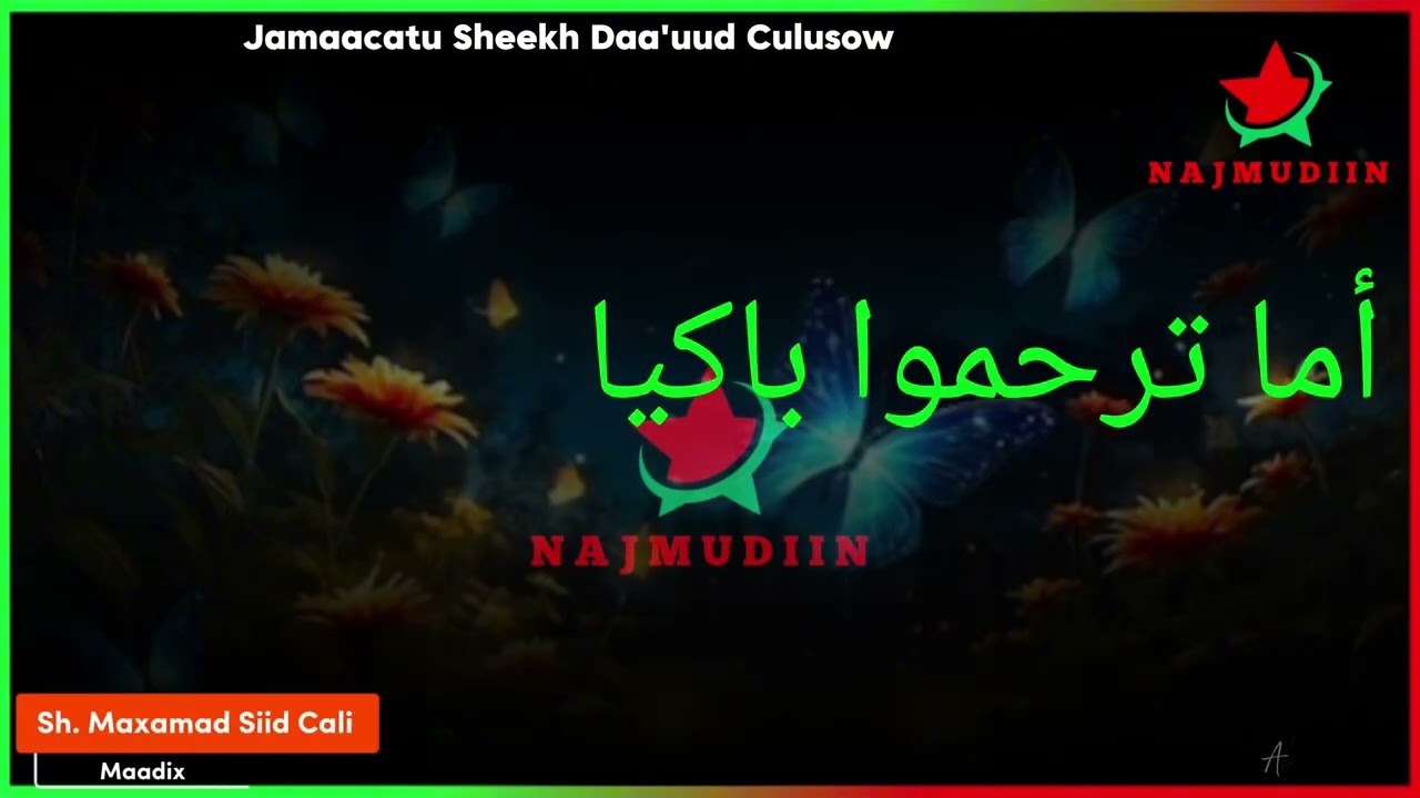 NABI AMAAN || شوقي للحبيب النّبي