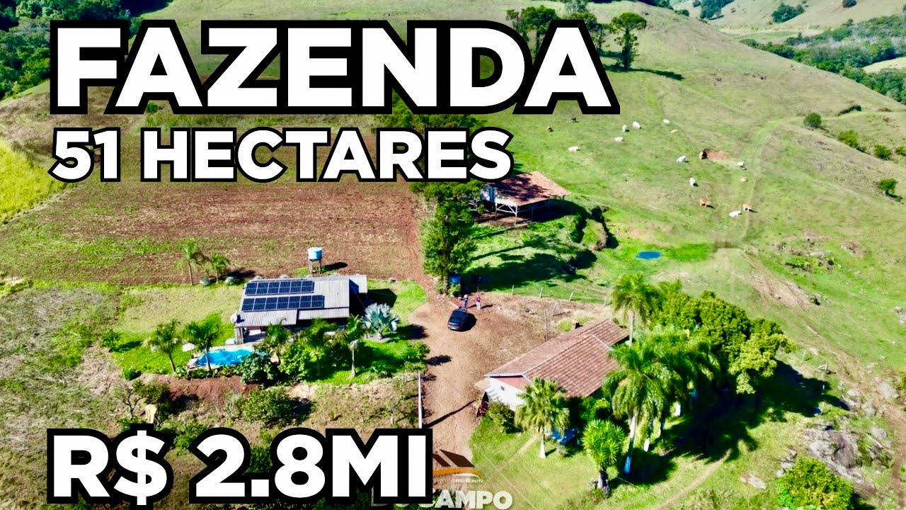 FAZENDA 51.6 HECTARES + CASA + GADO DE CORTE + RIO +  TOURO CHAROLÊS P.O. R$2.8MI