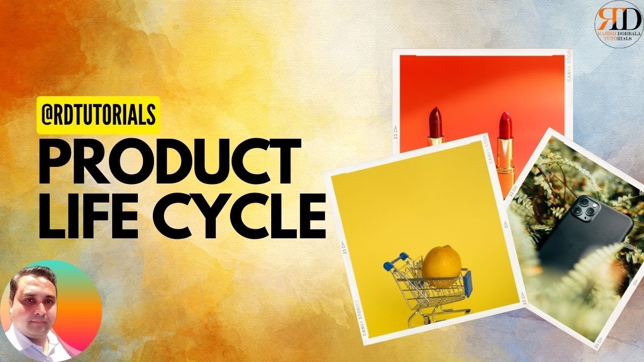 Understanding the Product Life Cycle | PLC