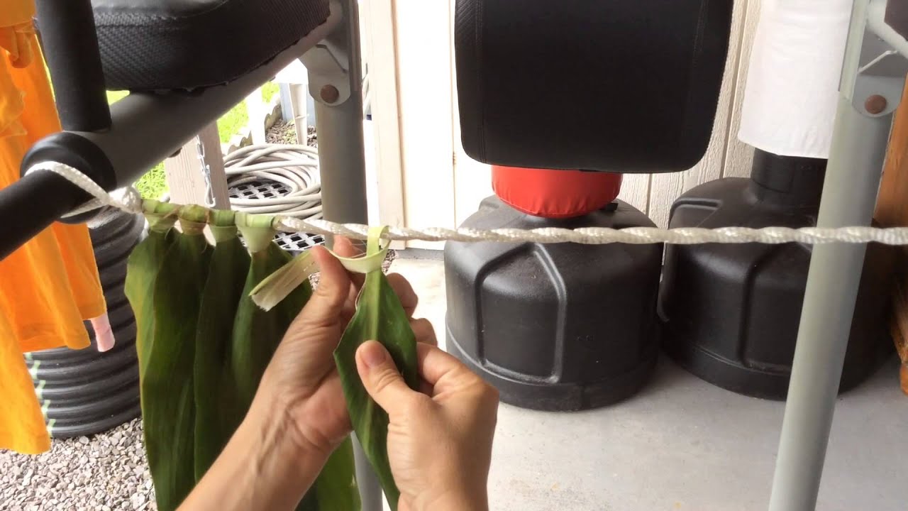 Kumu Halani-Making a ti leaf skirt