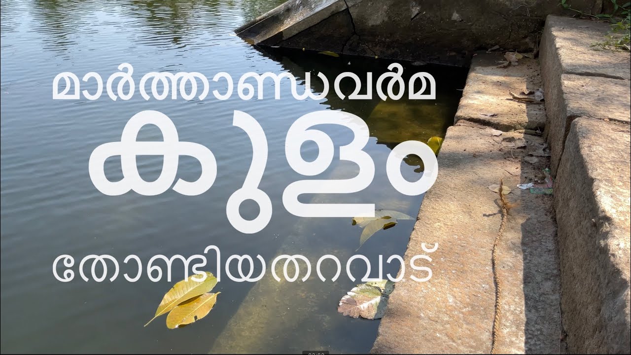 എട്ടു വീട്ടിൽ പിള്ളേയുടെ തറവാട് ettuveetil pillamar#heritage #kerala #hindu #house #