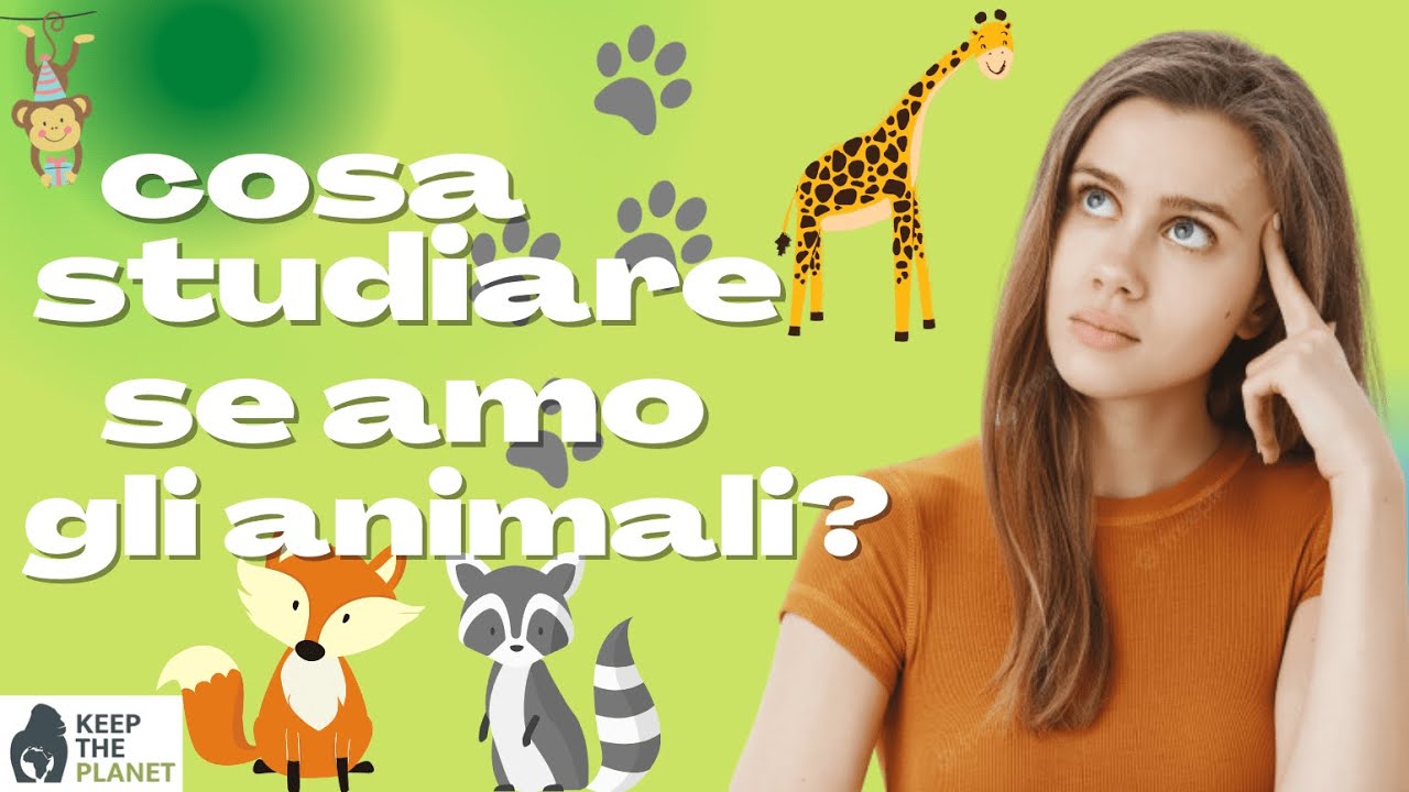 Fare il lavoro dei sogni è possibile: cosa studiare per lavorare con gli animali