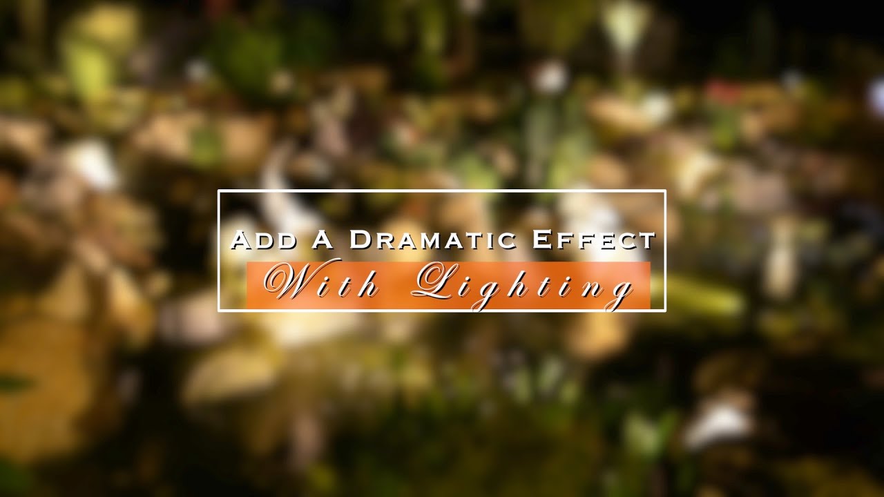 Add A Dramatic Effect With Your Water Feature Lighting