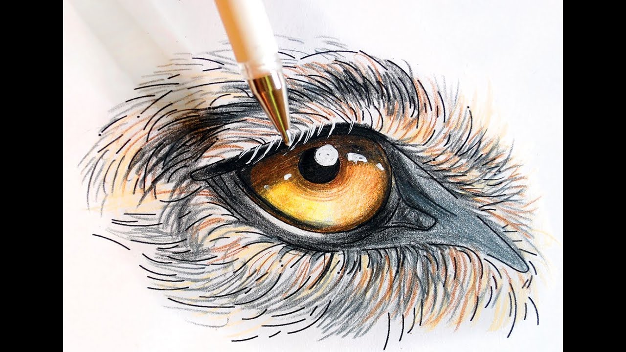 The Secrets of Coloring:  Tutorial - How to Color a Wolf Eye