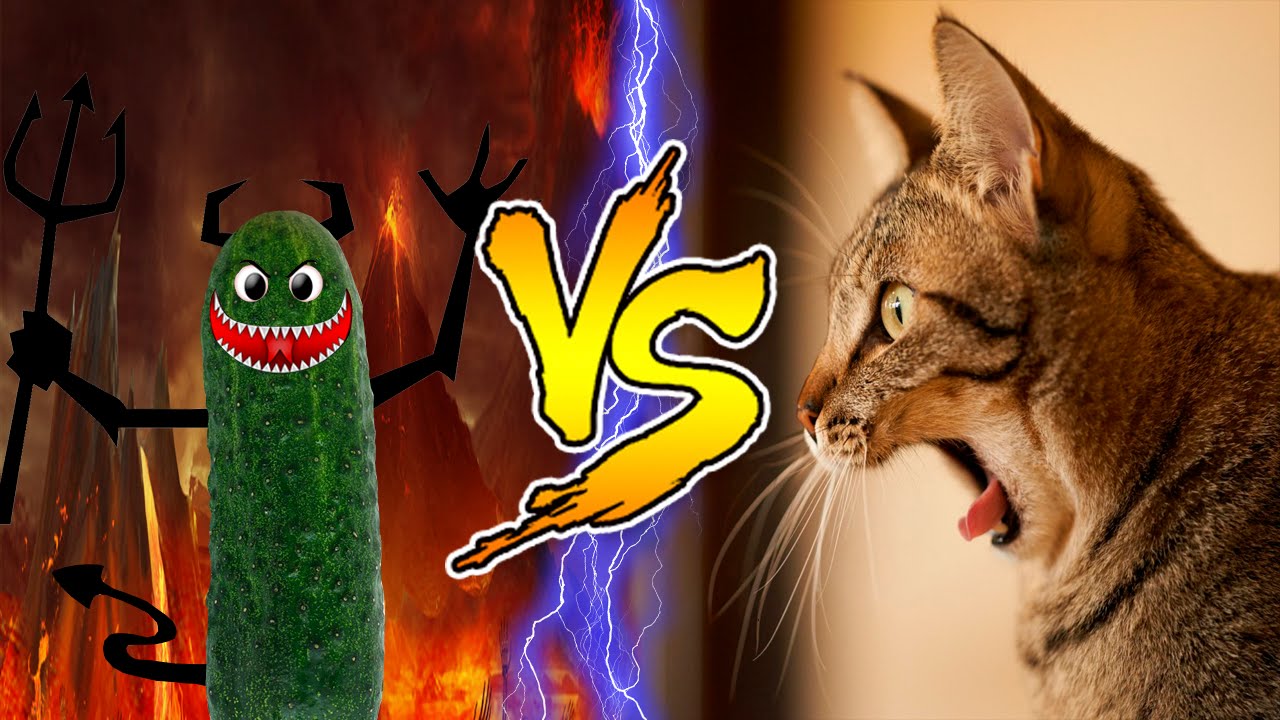 Cats scared of Cucumbers Compilation - Part 2 - Cats Vs Cucumbers - Funny Cats 2016