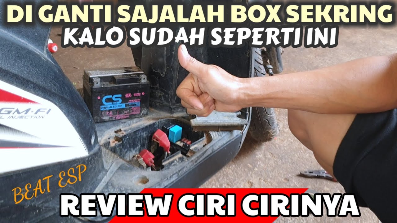 Review Pergantian box sekring beat esp @yudikakakeke5974 