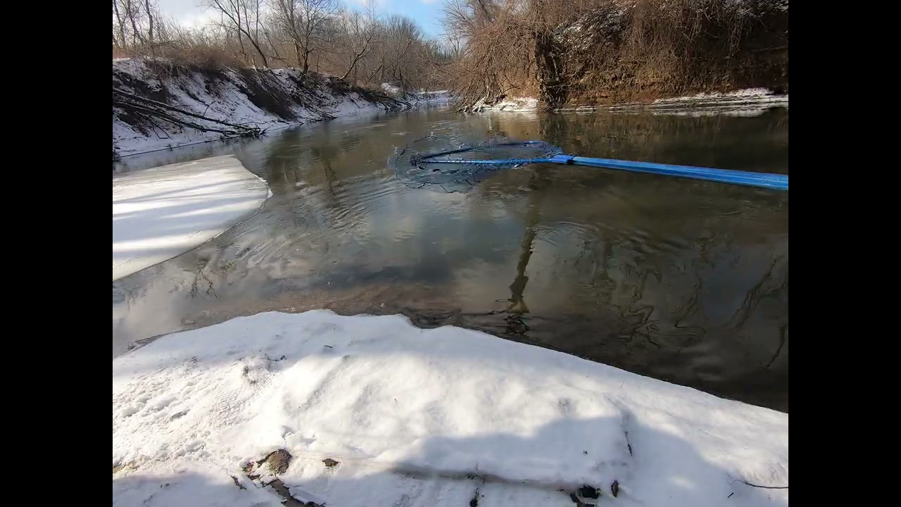Midwest Winter Steelhead 