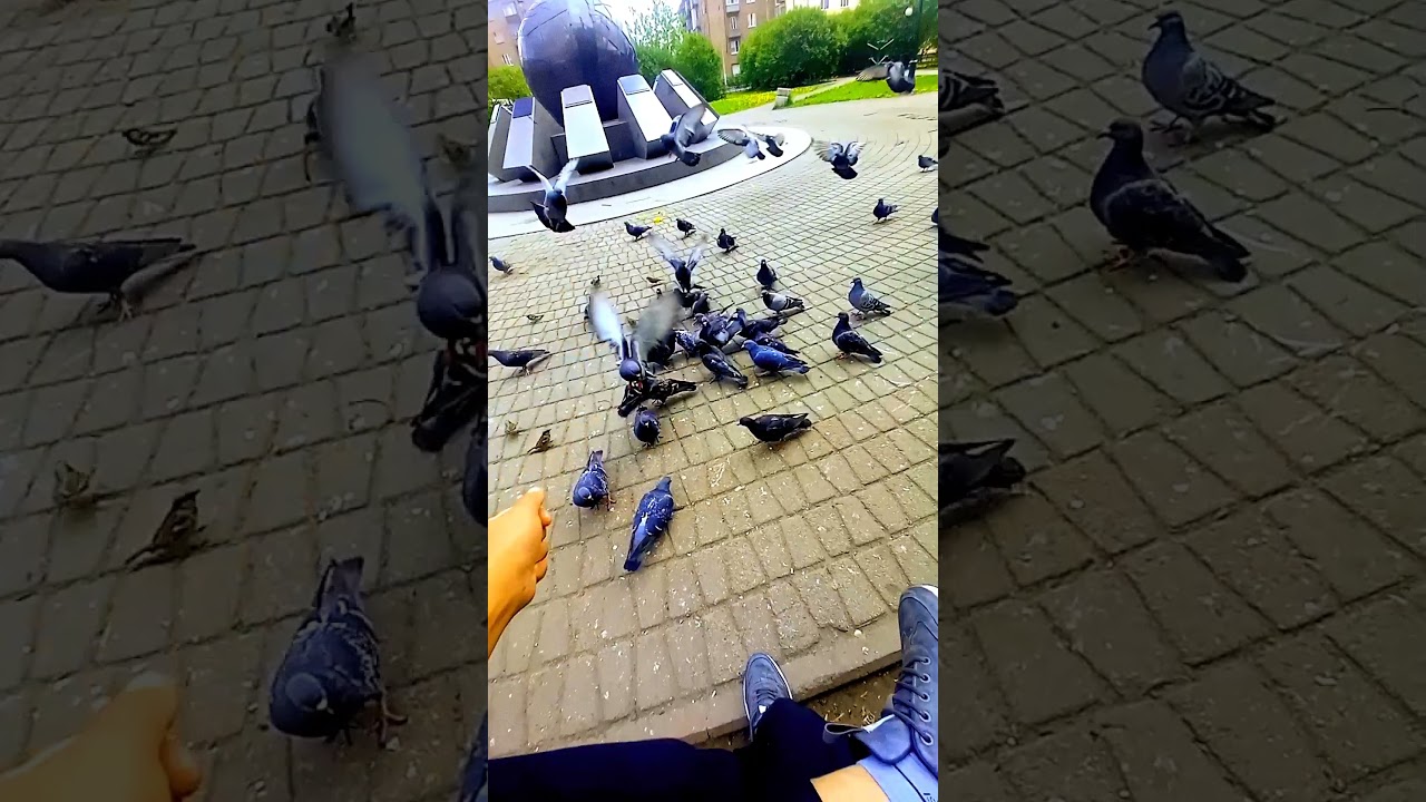 ордок учат кол калат олбой тируу Ким калат