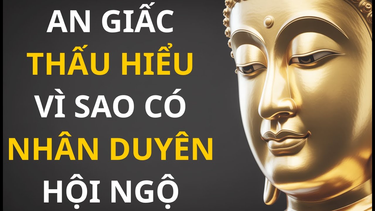 Gặp Gỡ Vốn Do Duyên: Những Câu Chuyện Thiền Giúp THỨC TỈNH & CHUYỂN HÓA TÂM THỨC - SỨC MẠNH!