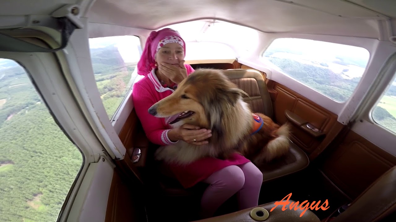 Mit filiz-rollidogs. e.V. grenzenlose Freiheit über den Wolken