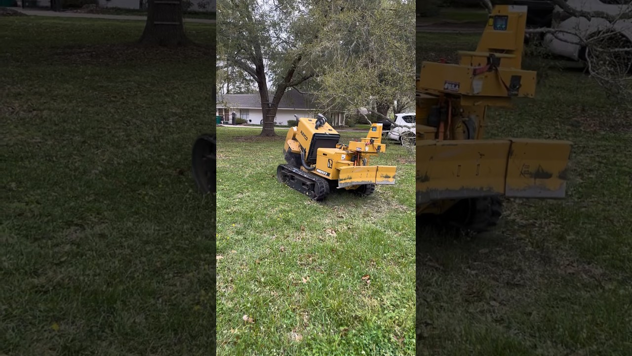 Rayco remote control stump grinder #shortvideo #treeservice #crane #skidsteer #treeremoval #arborist