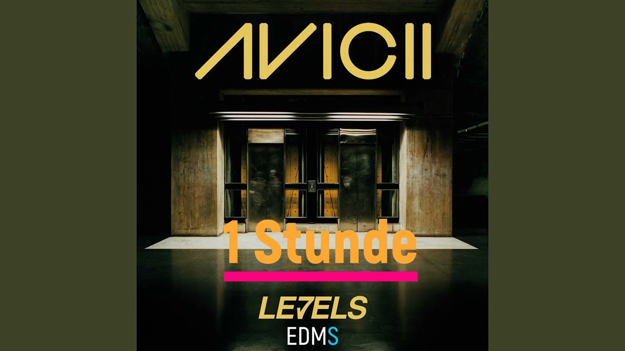 Avicii Levels (1 Hour)