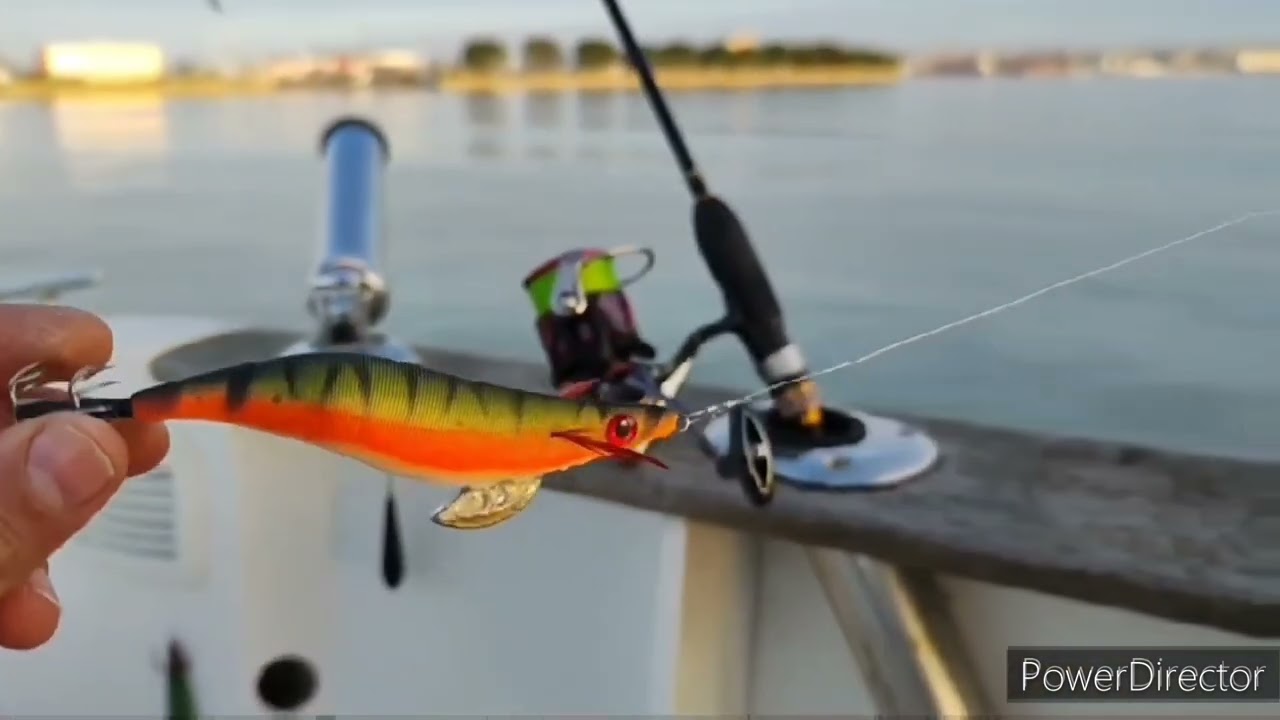Pesca sepias embarcación