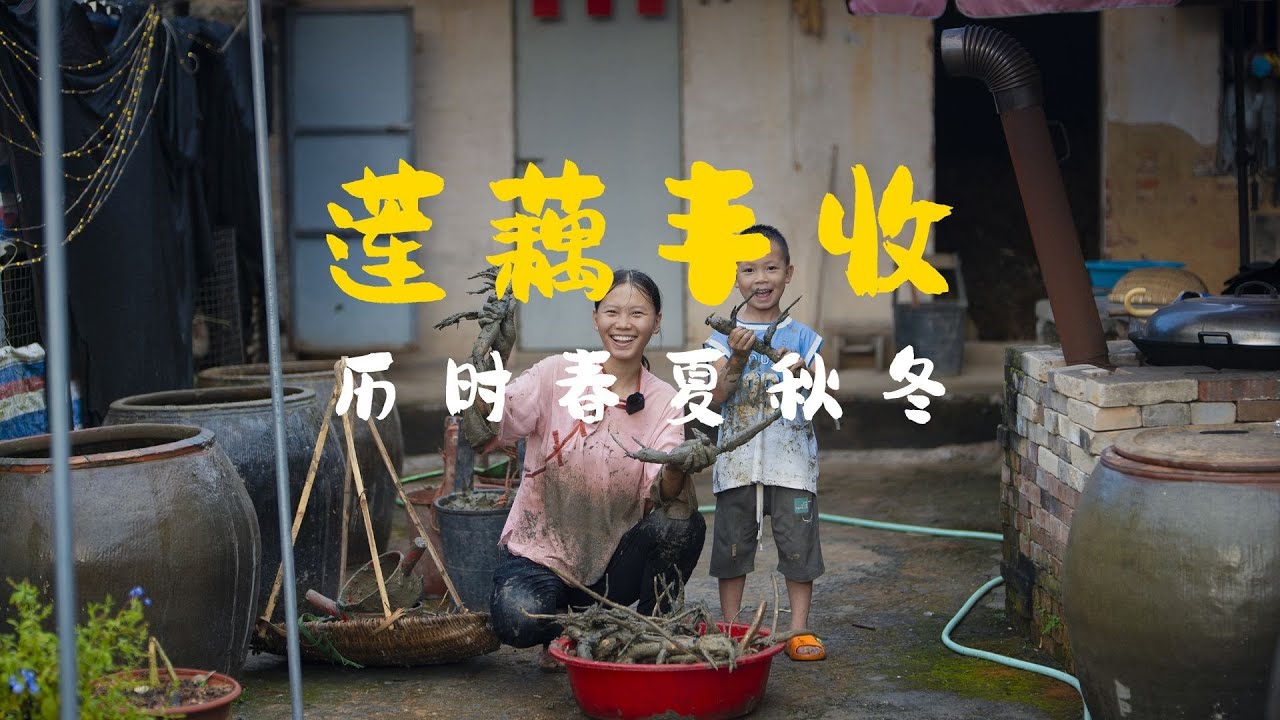 种藕一载，今收玉节满篮。慢炖成汤，品四季清甜，终得苦尽甘来