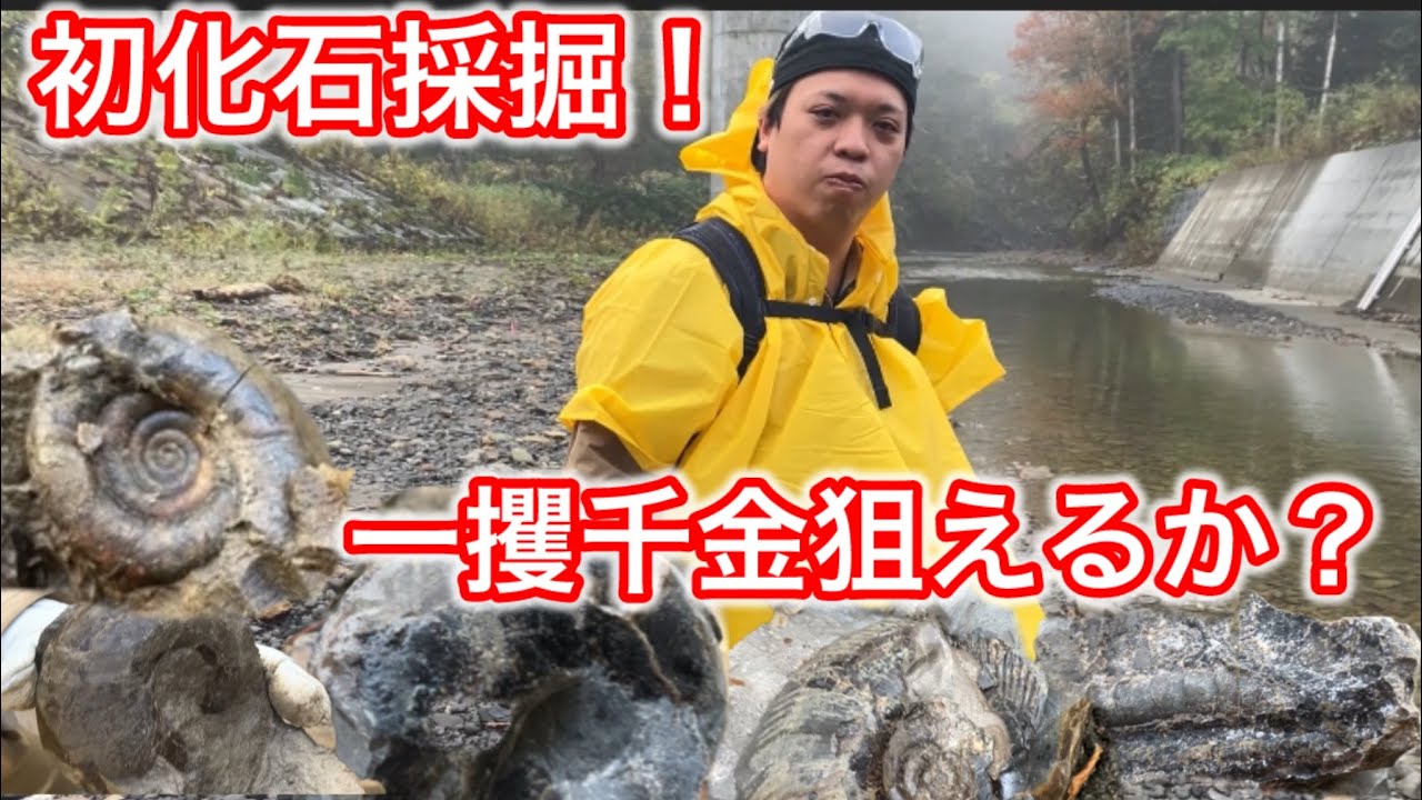 初めての人でも化石採掘で大漁となるか❓日の出から日没まで❗️これを見たら誰でも一攫千金狙えます‼️